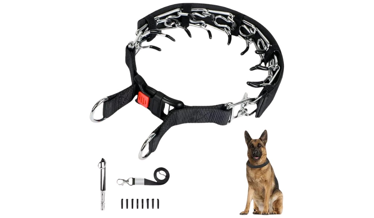 Small Dog Training Collar