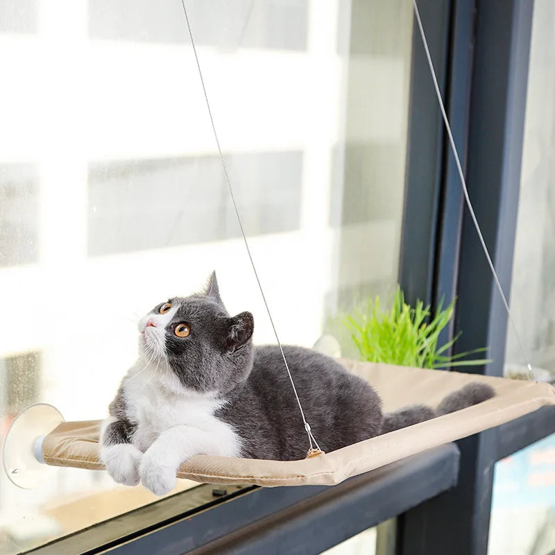 Window Cat Hammock with Suction Cups